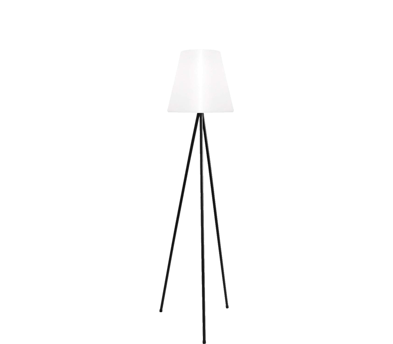 49,99 €