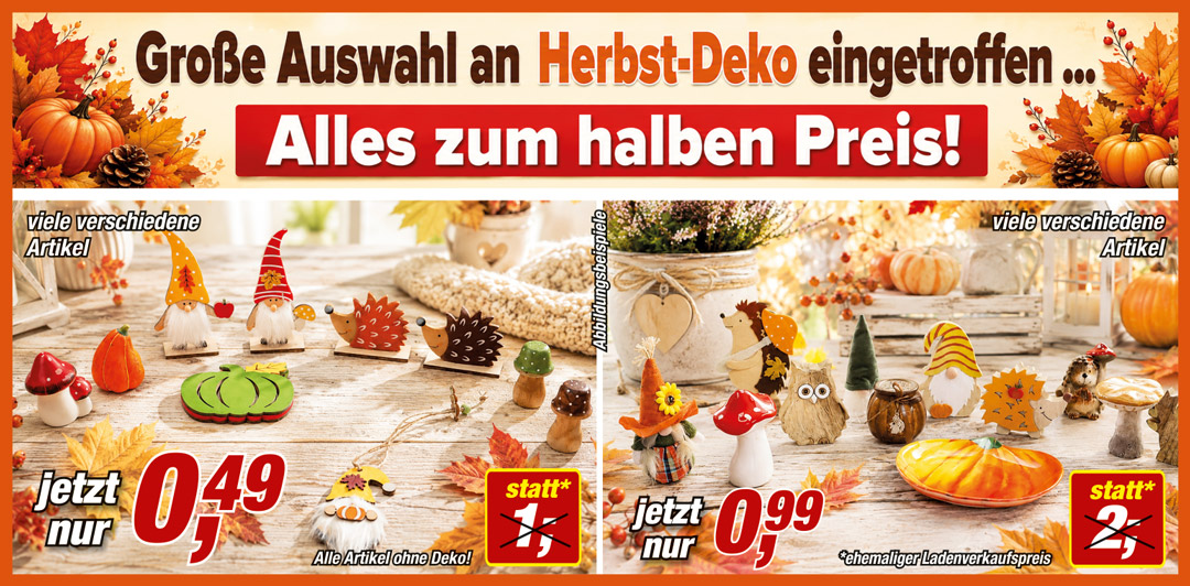 Angebot - eine grosse Auswahl an Herbstdeko